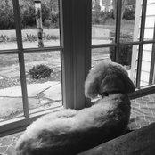 Molly Klinges's photo