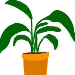 Planticular