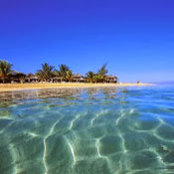 Howard Gurwitz's photo