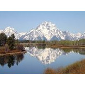 John McClure's photo