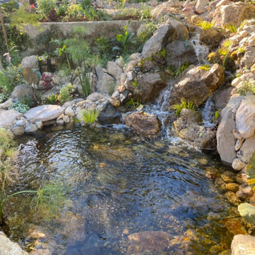 Encino Pond, Pondless Waterfall & Landscape Project