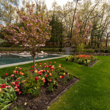 Weston Backyard