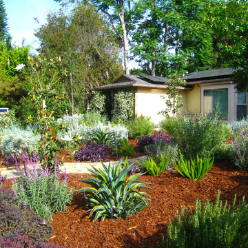Plants Design