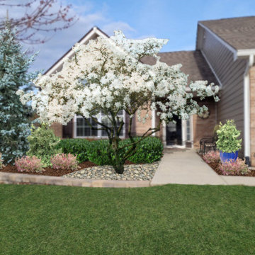 Foundation Plantings