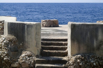 Littoral Zone
