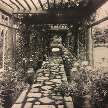Garden - Stepping Stones