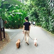 Foto von Junsiong Ye