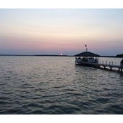 Albert Purcell's photo