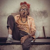 Barbara Fox-Weinstein's photo