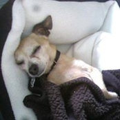 Meredith Cole-Venneberg's photo