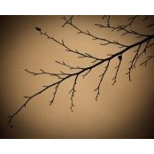 Melinda Hutton's photo