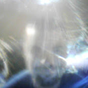 Brent Herd's photo