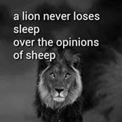 Stacy Harp's photo