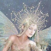 Pam Love's photo