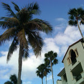 Michael Mutter's photo