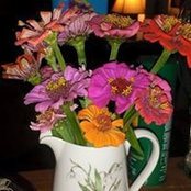 Tammy Dunn Vanover's photo