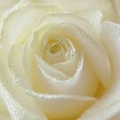 Foto de Supinda Ismail S

