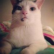 Chrissy Ann's photo
