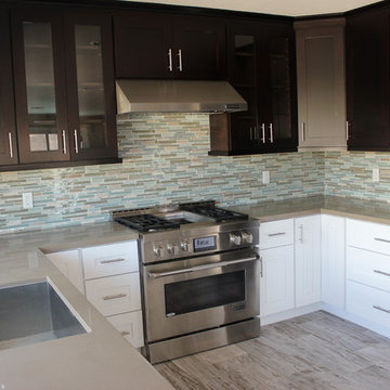 Canoga Park modern kitchen