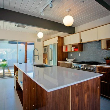 Desert Eichler Project