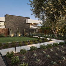 Doubletree Pool And Landscape