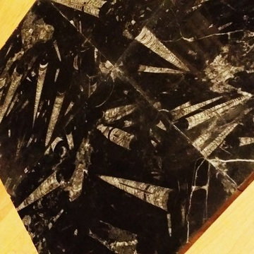 Ancient Seabed Natural Fossil Stone Collection Black (Kajal) Tiles