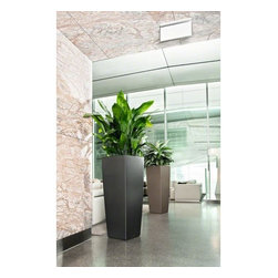 Cubico Alto LECHUZA - Indoor Pots And Planters