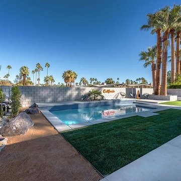 Desert Eichler #2