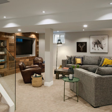 Full Basement Renovation