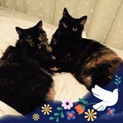 Jenna Wagner's photo