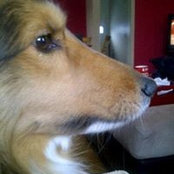 Robyn Henke's photo