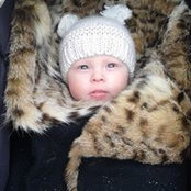 Hugh Murray's photo