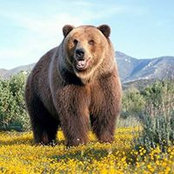 Mikhailo Melnyk's photo