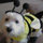 mary_mcpherson