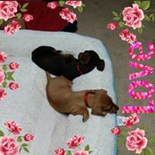 Foto de Myra McDermott
