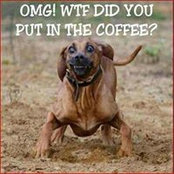 David Helmer's photo