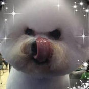 Margo Freibott's photo