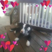 Melinda Smith Janson's photo