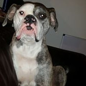 Todd Haver's photo