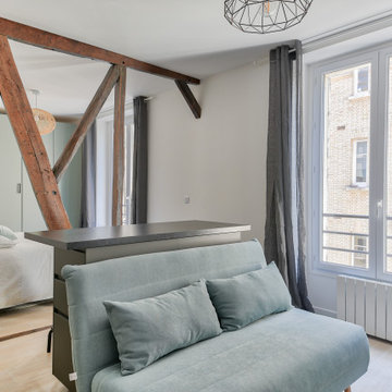 Rénovation d'un grand studio à Paris 17ème