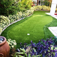 Backyard - putting green