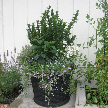 Bellevue Patio