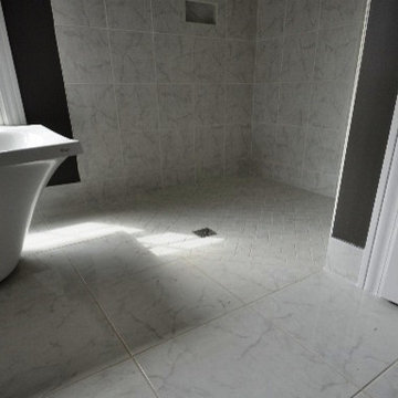 Level entry shower