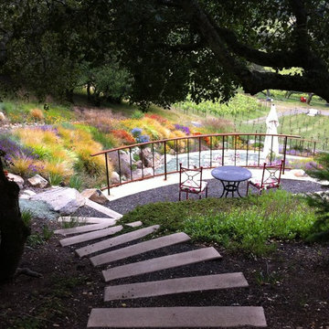 Vineyard overlook