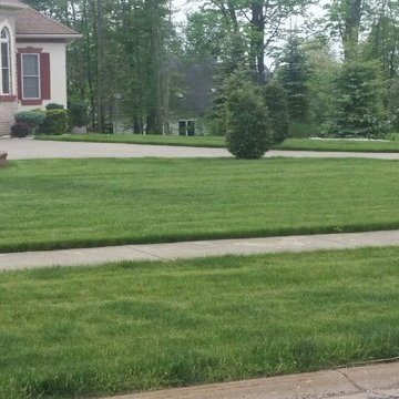 Landscaping