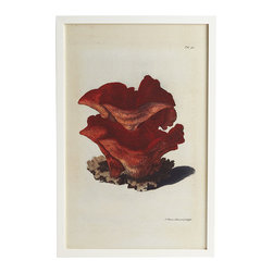 Red Coral Print - Pagoda - Artwork