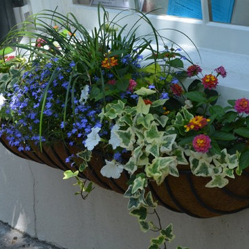 Create a Butterfly & Hummingbird in Containers