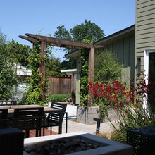 Backyard BBQ project