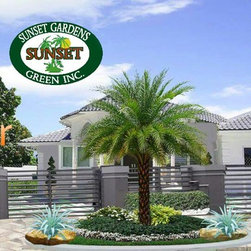 Suarez Residence-2 - Products