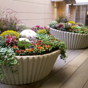 Potted Plants for Unique Areas
